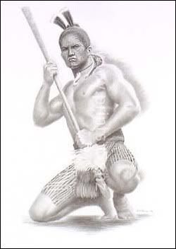 Maori Warrior Pictures, Images and Photos