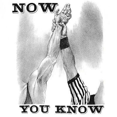 Image result for wrestling hand raised
