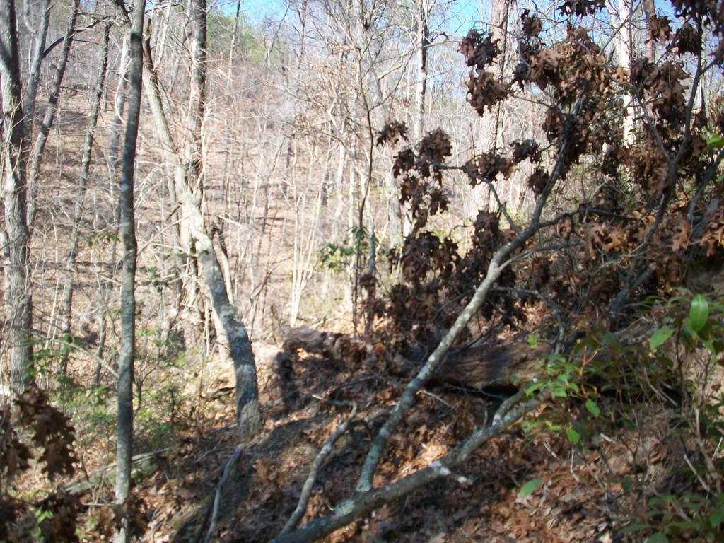 Patterson Mountain Solo Trail Ride