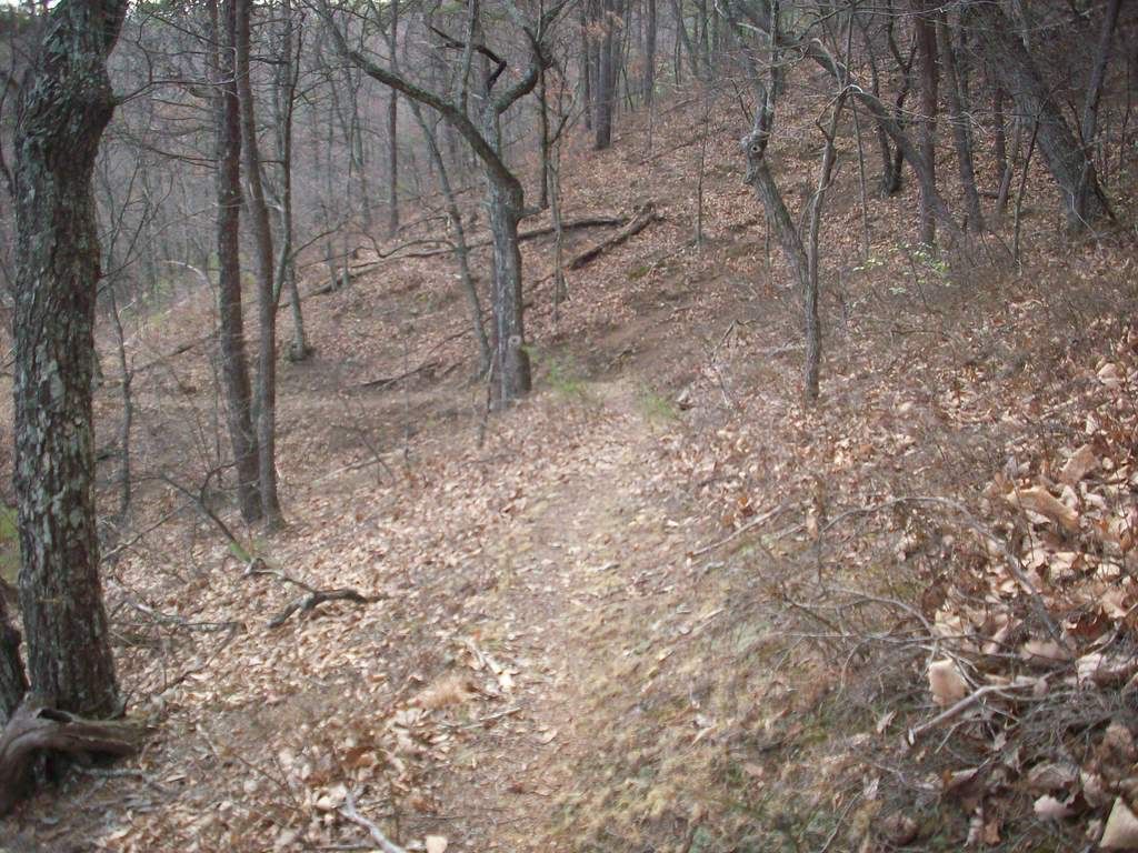 Patterson Mountain Solo Trail Ride