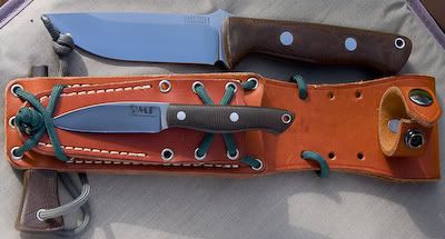 Options bravo