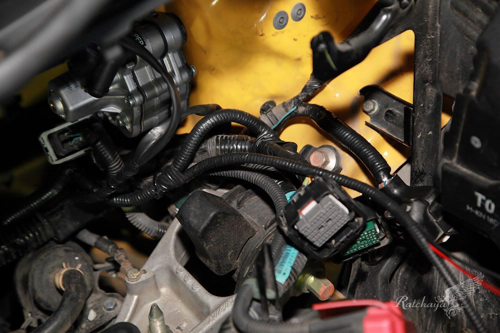 รีวิวการติดตั้งแก๊ส รถ Honda Jazz กับชุด Advanced OBD ชุดหัวฉีดของ Energy Reform พร้อมถังโดนัท 42 ลิตร โดยลูกค้าจริง ธนบูรณ์ ออโต้แก๊ส