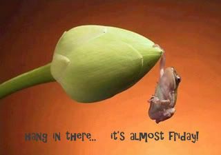 http://i227.photobucket.com/albums/dd82/countrygal316/almost_friday.jpg
