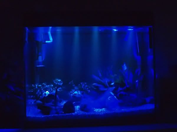 iluminacion