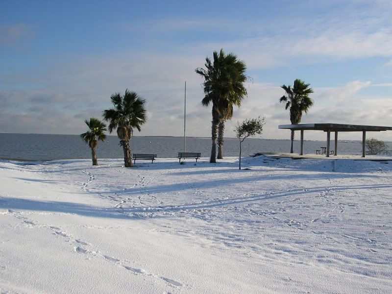 TexasSnow.jpg