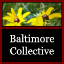 baltoco_logo_03.gif &copy;125x125 image by baltoco