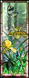 yellow_iris.jpg image by baltoco