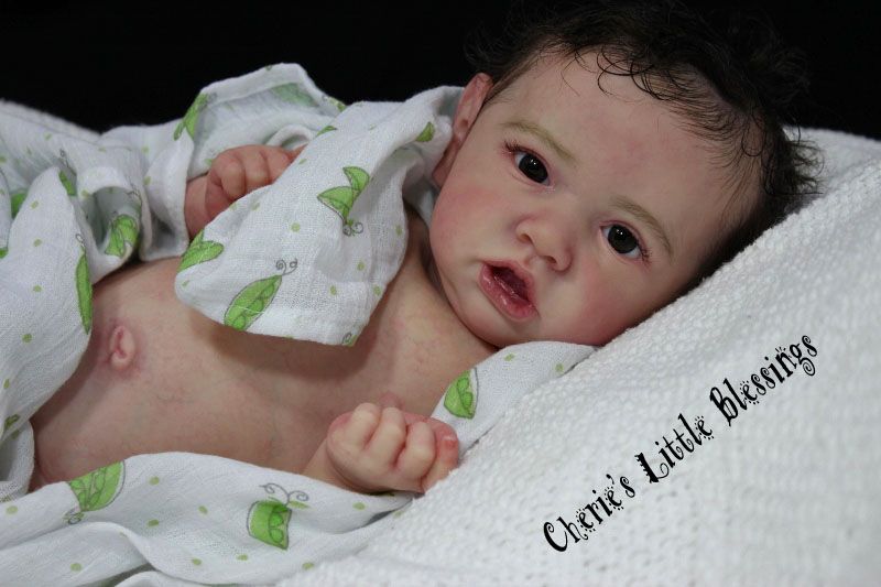 Cherie's Little BlessingsReborn DollBaby BOYSASKIABonnie Brown
