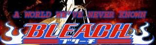 A World We've Never Known- A Bleach RPG Guild banner
