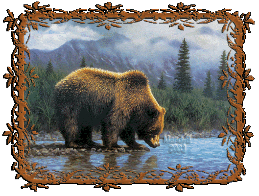 oso en lago bebiendo photo ae0cnp.gif