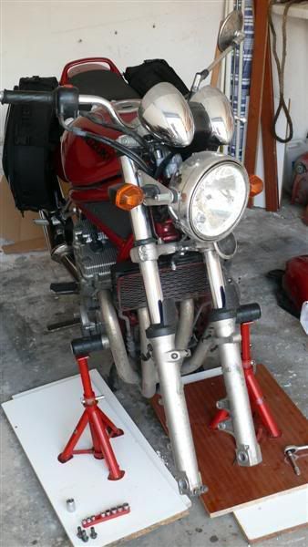 P1070091Medium.jpg