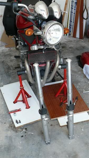 P1070092Medium.jpg