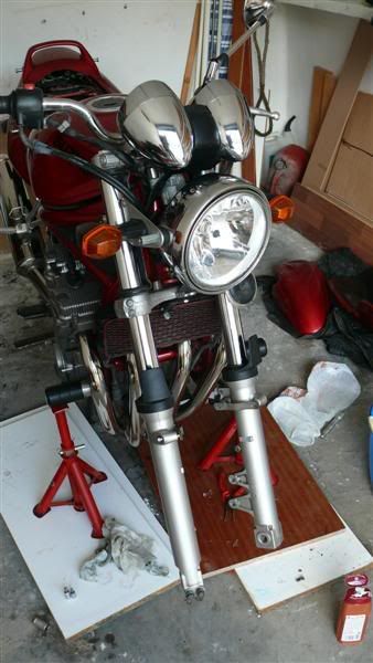P1070098Medium.jpg