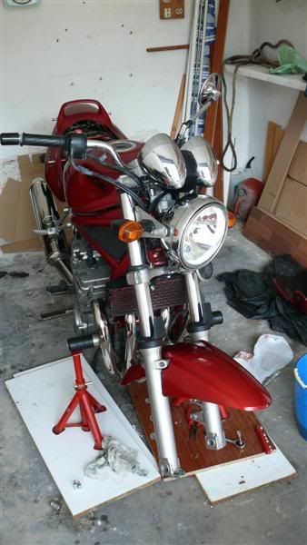P1070099Medium.jpg