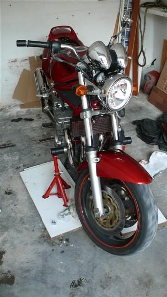 P1070100Medium.jpg