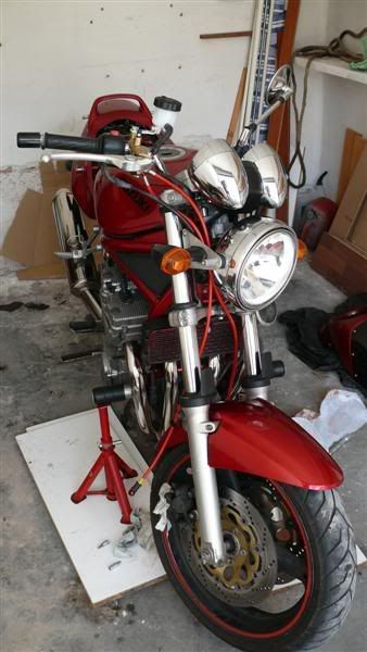 P1070103Medium.jpg