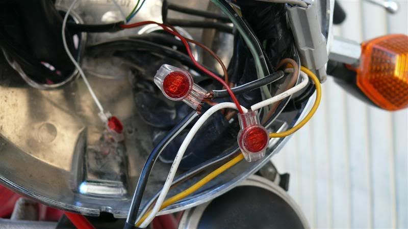 P1070207Medium.jpg