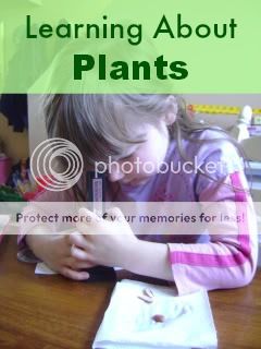 Learning about Plants — Happy Homeschool Nest ~ Balancing Home & Homeschool