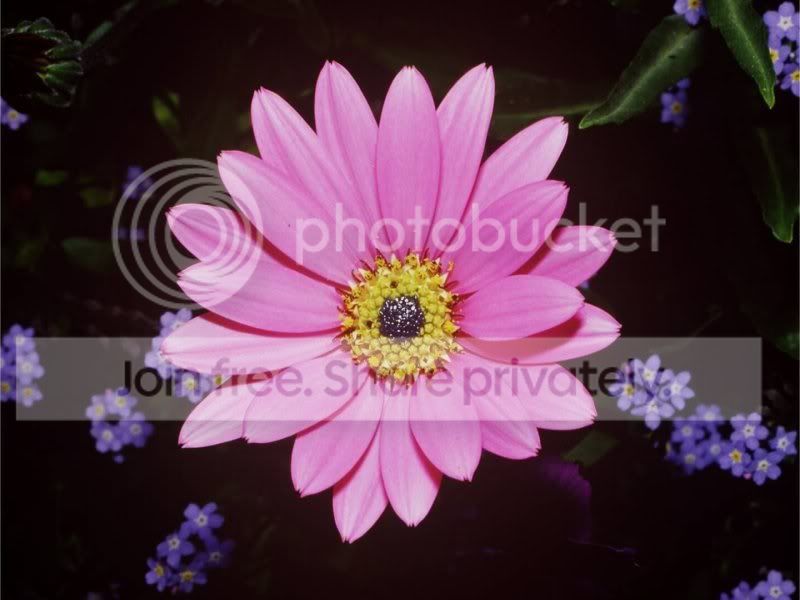 My Photo
