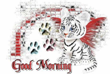 GoodMorningCats.jpg picture by bill1880