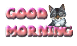 kitty.gif kitty picture by bill1880