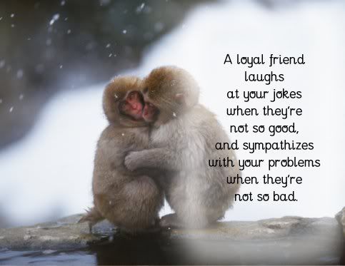 Aloyalfriendslaughsatyourjokes.jpg picture by bill1880