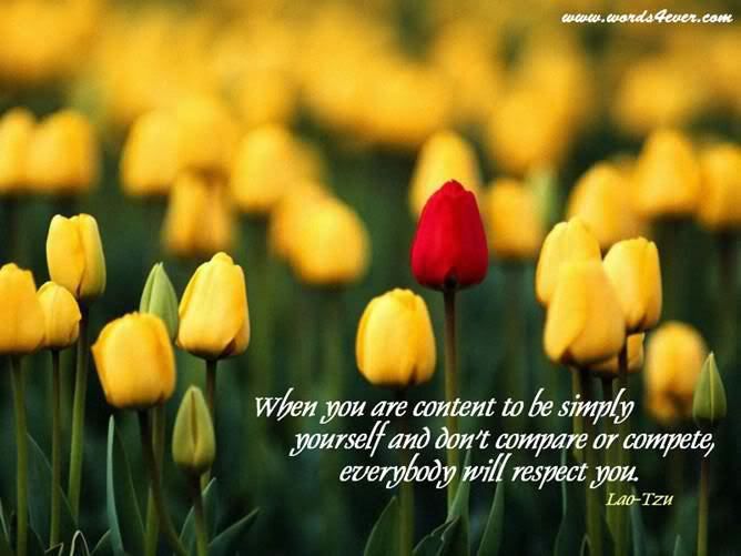 BeContentwithself.jpg picture by bill1880