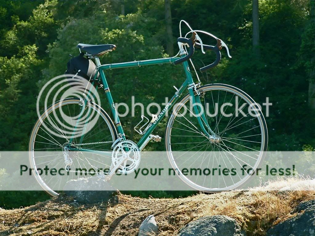 simple green bike