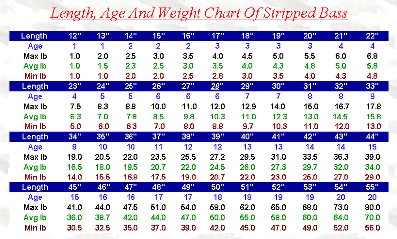 Striper Age/Weight/Length charts | Smith Mountain Lake Fishing Forums