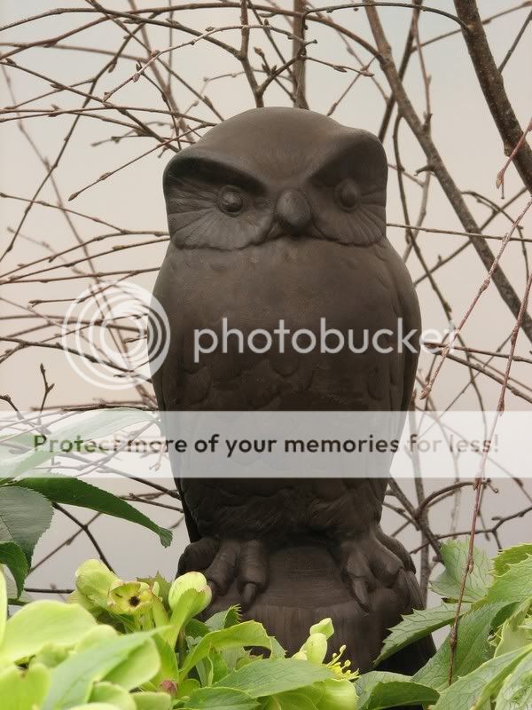 Cast Stone Owl Statue Garden Sculpture *NEW*  